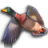 pkDuckHandwrtg.cur