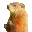 Marmotte2.cur