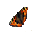 pt-papillon[1].cur
