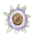 passiflore[1].cur