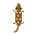 lizard.ani