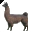 llama.cur
