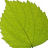 not_set.ani