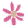 Flower_.ani