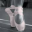 ballet.ani