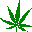 leaf2.ani