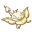 whitechocpteri.ani