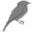 Canary Birds.ani