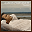 ThankfulCoverresize2.cur