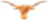 HookEm.ani