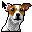 dog_nanouk.ani