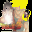 not_set.cur