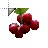 command gather berries icon.cur