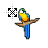 Macaw resize.ani Preview