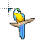 Macaw link.ani Preview