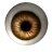 icon 2509