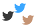 The Twitter Exclusive Colored Logos Folders Teaser