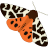 garden tiger moth.ico Preview