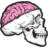 skull with brain .ico
