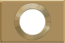 Gold Rings template
